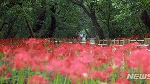 [날씨]17일도 전국 대부분 흐리거나 비…제주 모레까지 천둥·번개