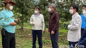 농협 농업경제대표, 추석 앞두고 산지 점검