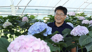 “코로나에 막힌 판로, 온라인 직거래로 뚫었어요”