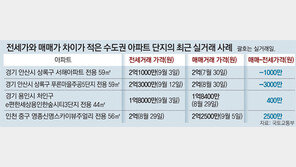 임대차법 이후 매매 발길 ‘뚝’… 수도권 외곽 ‘깡통전세’ 조짐