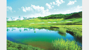 제주 12개 골프장을 회원가로 이용