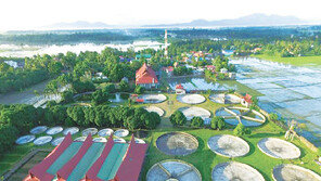 3000만원 투자로 월 100만원 수익