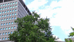 오백살 은행나무, 야외 미술관 됐네