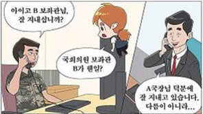 ‘의원보좌관 부정청탁’ 만화 게재한 국방일보
