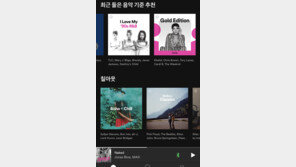 국내상륙 앞둔 스포티파이, ‘음악계 넷플릭스’ 되나