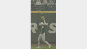 대형 산불이 삼킨 美프로스포츠