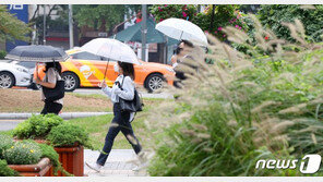 전국 흐리고 곳곳 가을비…최고기온 25도 ‘선선’