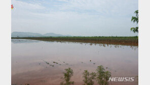 美농무부 “태풍 마이삭·하이선, 北 곡창지대 비껴가”