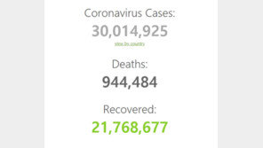 전세계 코로나19 확진자 수 3000만명 넘었다…美 1위