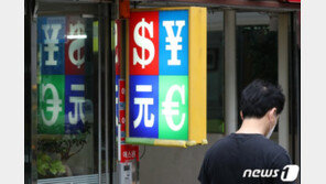 8월 달러화예금 3개월 연속 ‘사상 최대’…개인은 줄어