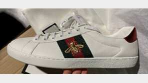 구찌 심볼에 곤충이…‘짝퉁’ 구찌신발 팔다가 덜미 잡힌 업체