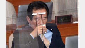 丁총리 “개천절 집회 화난다…강행 시 구상권 청구”