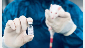 코로나 바이러스에 유전자 조작 흔적?… 과학계 “설득력 없는 음모론”