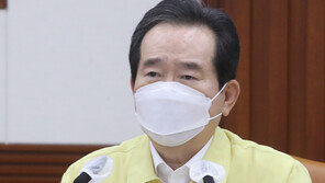 丁총리 “정부가 진단검사 물량·결과를 조작? 허위 주장”
