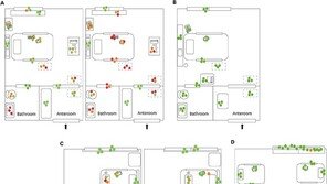 “코로나 바이러스 소독, 분무보다 닦아내기가 효과적”