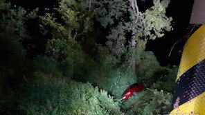 낭떠러지 매달린 차량 속 일가족, 그때 경찰이 내려왔다