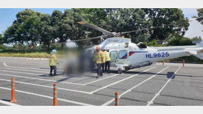 달리던 차에 날벼락…의문의 물체 유리 뚫고 승객 머리 강타