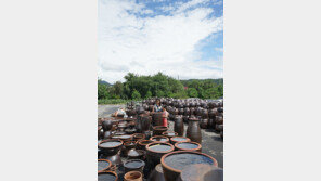 ‘흙의 변주곡’ 빚는 마을, 삶의 안단테가 흐른다