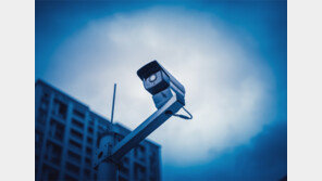 [책의 향기]진정한 자유는 ‘족쇄 찬 국가’에서 온다