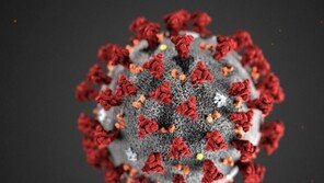 코로나19 입자, 바늘로 100번 찌르고 90도 고온에도 ‘멀쩡’
