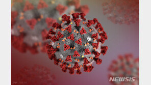 바늘 100번 찔러도, 90도 가열해도 안죽어… 참 지독한 코로나19