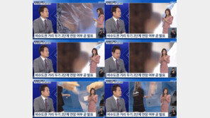 스튜디오서 휴대전화 조작한 기상캐스터…KBS 뉴스 방송사고