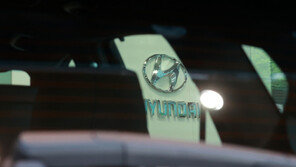 현대차 날고 LG화학 지고…시총 ‘톱10’ 경쟁 치열