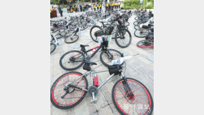 이번주는 자가용 두고 나오세요