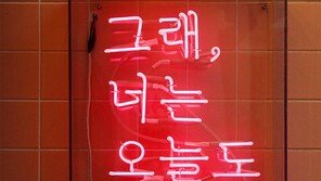 오늘도 예쁘다[고양이 눈]