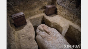 이집트 북부 미냐에서 고대 파라오 무덤 추가 발견