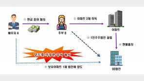 전업 주부에서 검은머리 외국인까지…너도나도 뛰어든 부동산투기