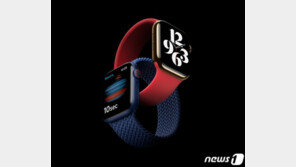 애플워치6·애플워치SE, 23일 국내 출시…“오프라인 판매는 29일부터”