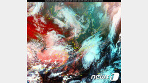 오사카 향하던 태풍 ‘돌핀’ 고개 틀어 도쿄로…“한국 영향 없어”