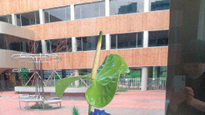 ‘내 생활 속의 꽃’ 포토에세이 공모전