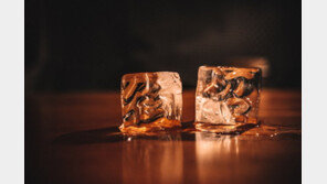 항균서 재활용까지 디자인의 진화… 코로나와 공생하다