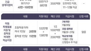 24일 특고·프리랜서부터 지급…2차 지원금 신청 마감 언제?