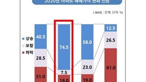 “전문가도 예견한 수도권 집값 상승…정부만 몰랐나”