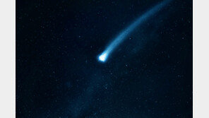 “번쩍하더니 불빛 떨어져”… 새벽에 이어진 ‘별똥별’ 목격담