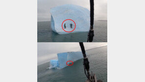 빌딩만한 빙산 뒤집혀 죽을 뻔…탐험가 2명 기사회생 (영상)