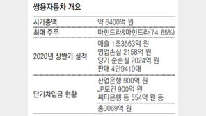 年매출 250억원 회사가 쌍용차에 3000억원 투자?
