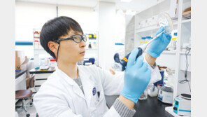 코로나19 치료제 등 주요 연구과제 속도… 지난해 최다 임상 승인