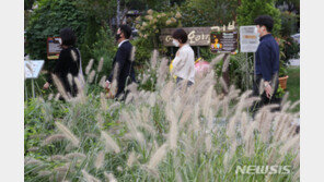 [날씨]구름 많고 선선한 날…강원 영동·경상 동해안·제주엔 비