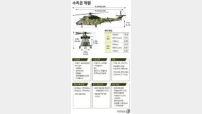 국산 헬기 있는데…안방 수요자 몽니에 국산화 차일피일