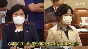 김진애 “추미애 답변 안하는 건 품격있는 묵언수행”