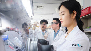 “日 소·부·장 수출규제 뛰어 넘자”… 국가연구실 ‘N랩’이 나섰다