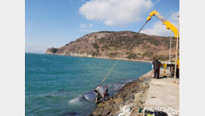 “보험 살인 아니다” 결론난 ‘금오도 사건’…판단 근거는?