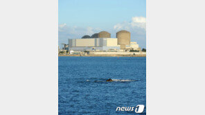 고리원전 4기 10월 재가동 되나…“강한 자연재난·기후변화 대비해야”