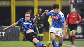 김민재, 토트넘행 무산되나…슈크리니아르 영입설