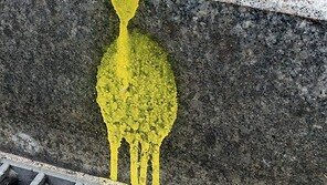 큰 뿔 사슴[고양이 눈]