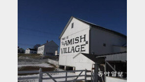 12세 여동생 임신시킨 친오빠 4명 감옥행 모면…‘아미시’신도